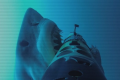 Une incroyable attaque de requin filmée de près