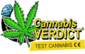 Tests de dépistage de cannabis en vente dans les bureaux de tabac