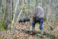 Accident : Un chien tire et blesse un chasseur !