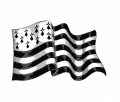 Le drapeau breton interdit aux JO