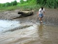 Donner à manger à un crocodile à mains nues