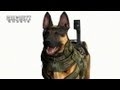 Comparaison des graphismes entre Call Of Duty Ghosts et Modern Warfare 3