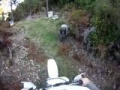 Une motocross contre un bélier : Partie 2
