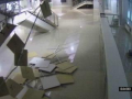 Un chat détruit le plafond de l'Adler Arena à Sotchi