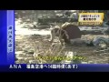 Un chien victime du tsunami au Japon n'abandonne pas son compagnon