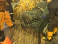 Des pêcheurs capturent un lion de mer par erreur