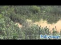 WRC : Vidéo de la première étape du rallye du Portugal 2013