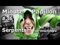 Minute Papillon #36 : Le serpent