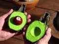 Du guacamole frais en stop motion