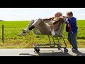 Jackass présente Bad Grandpa