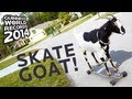 Record du monde de la plus longue distance en skate pour une chèvre
