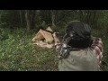 Un chasseur tue un ours, la publicité interactive