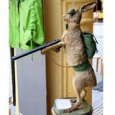 Soutien au lapin qui a tué un chasseur !