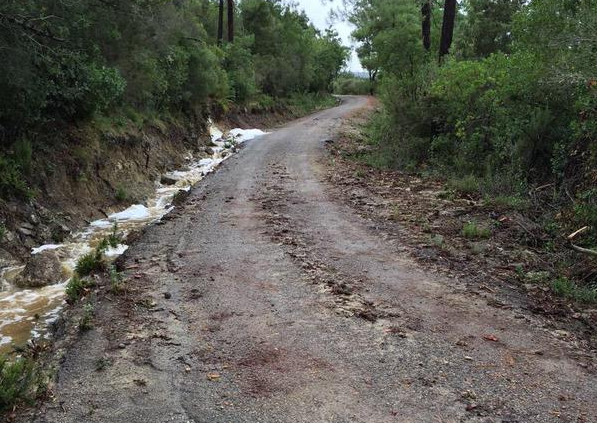 Passage de l'ES 3 du Tour de Corse 2015