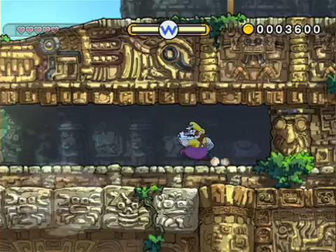 Wario Shake It